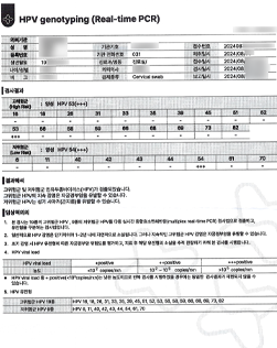 HPV 바이러스 고위험군 52번, 53번 얼마나 위험한 번호인가요?