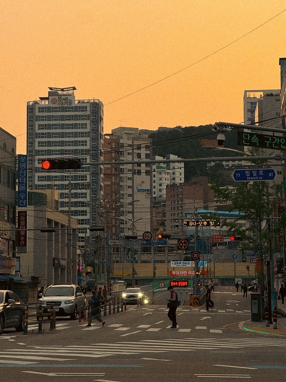 천춘일식당 사진 4