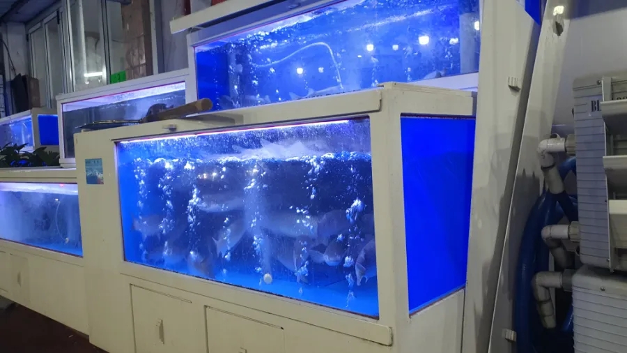 팔도수산 사진 2