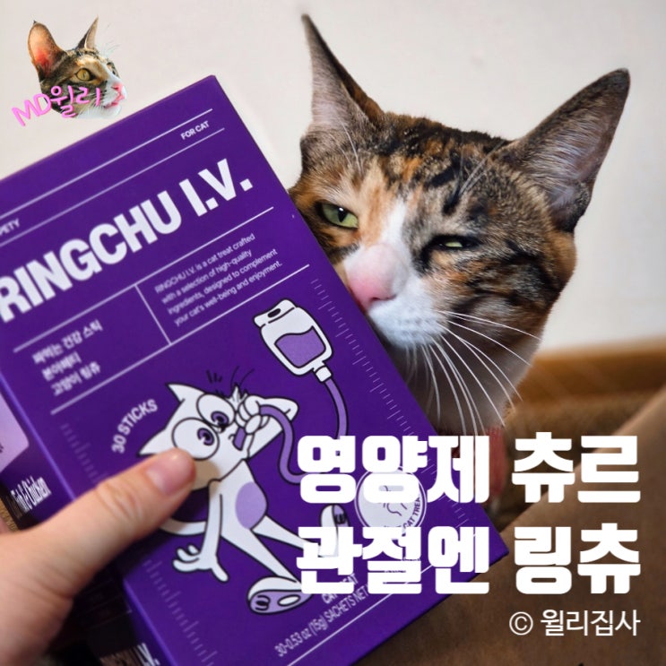  링츄 고양이 관절 츄르 영양제 기호성 좋은 본아페티 링거 츄르