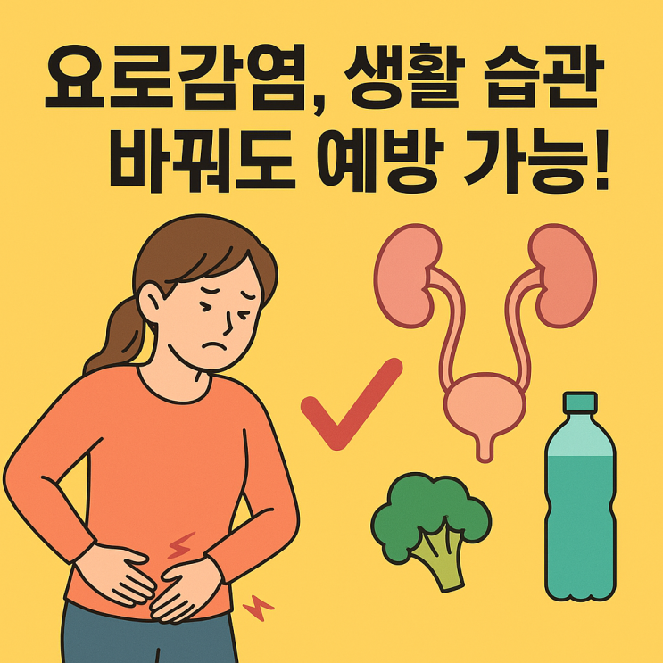  비뇨기 감염을 부르는 생활 습관과 피해야 할 행동 – 일상 속 작은 습관이 큰 차이