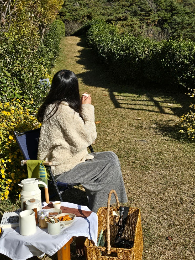  하동 다원 티캠핑 따신골녹차정원, 요즘 뜨는 녹차밭 하동 여행 코스