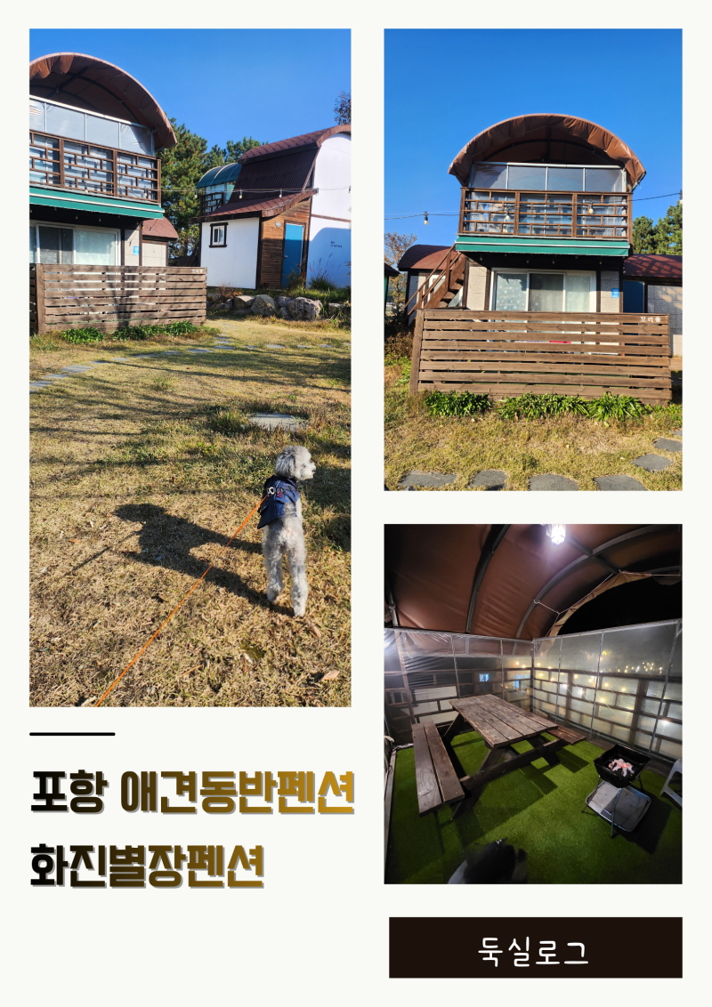 사진 2
