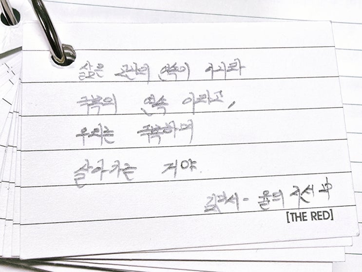  오늘의필사 우리는 극복하며 살아가는 거야/율의시선