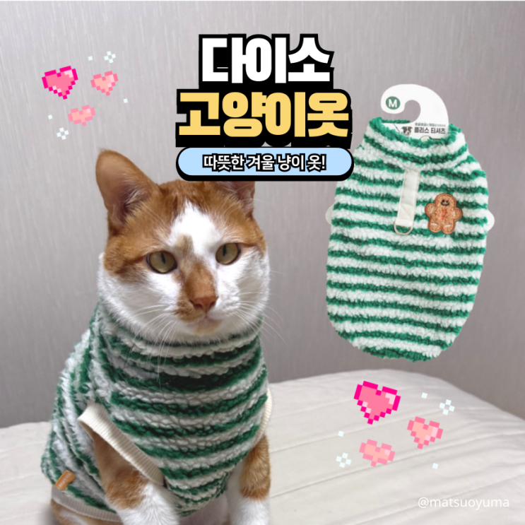  다이소 강아지옷, 7kg 고양이가 입기! 고양이겨울옷 사이즈 추천️