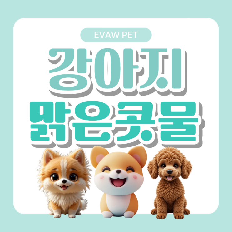  강아지맑은콧물 원인과 관리법｜감기 초기 신호일까?