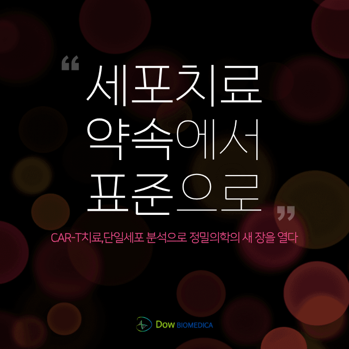  CAR-T 세포치료 시대의 정밀 분석, 단일세포·공간오믹스가 왜 필수인가?