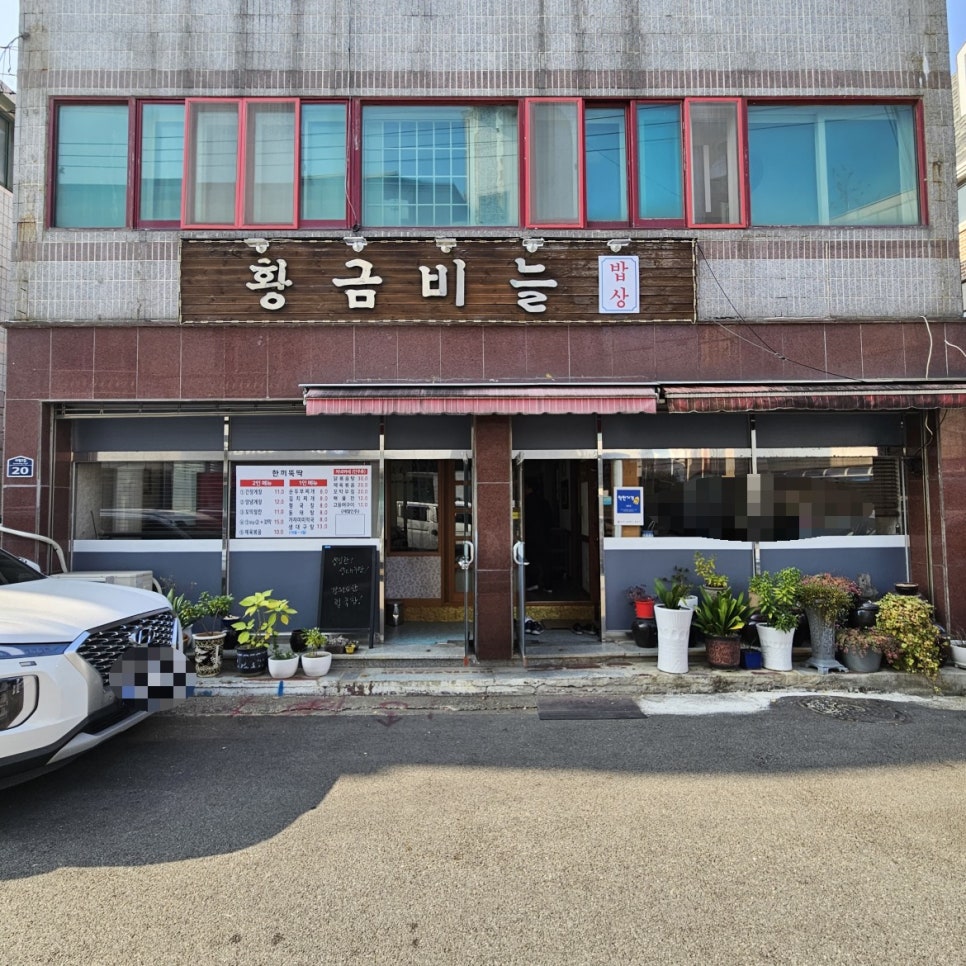 황금비늘 사진 1