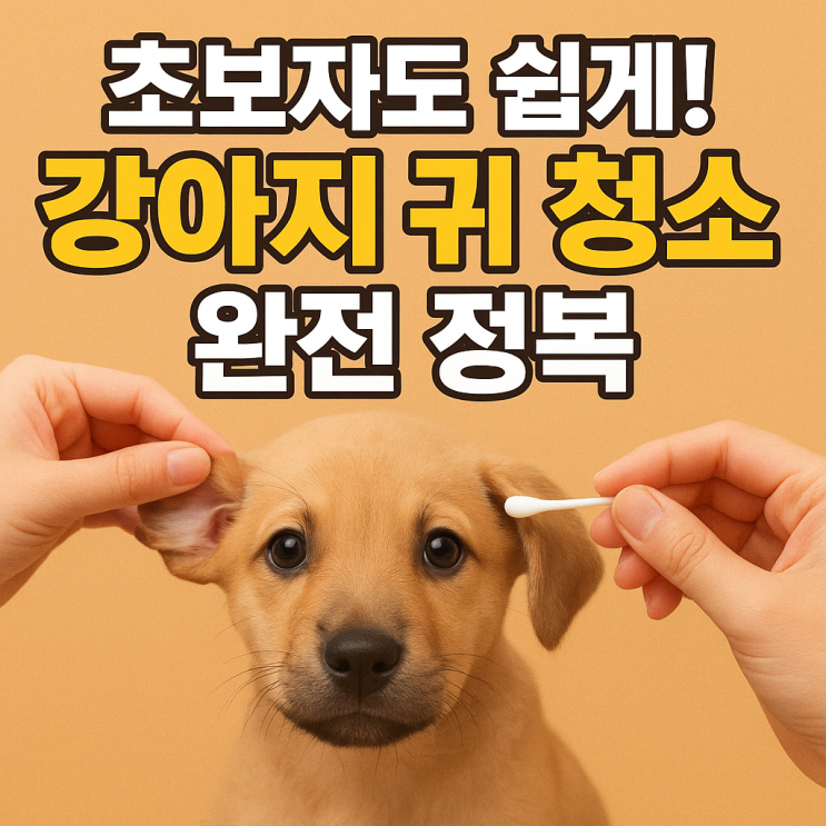  강아지 귀 청소 제대로 하는 방법