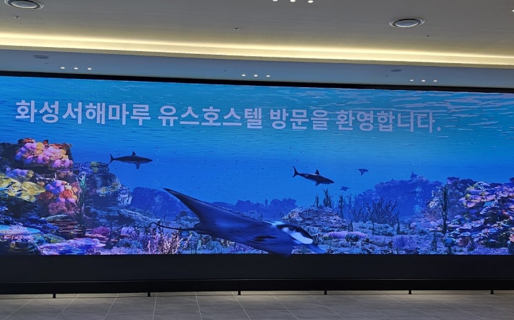 <b>화성 서해마루 유스호스텔</b> 시범운영 후기｜궁평항 가볼 만한... 