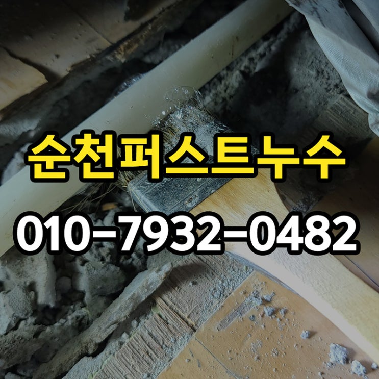  순천 누수탐지 시공 천장 물자국 곰팡이 해결