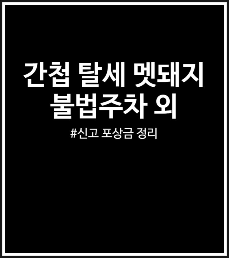  간첩 탈세 멧돼지 불법주차 신고 포상금 총정리해 봤어요