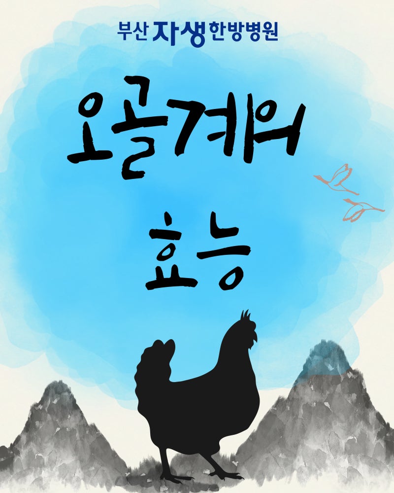 오골계 효능, 왜 사람들이 찾는지 궁금하다면..