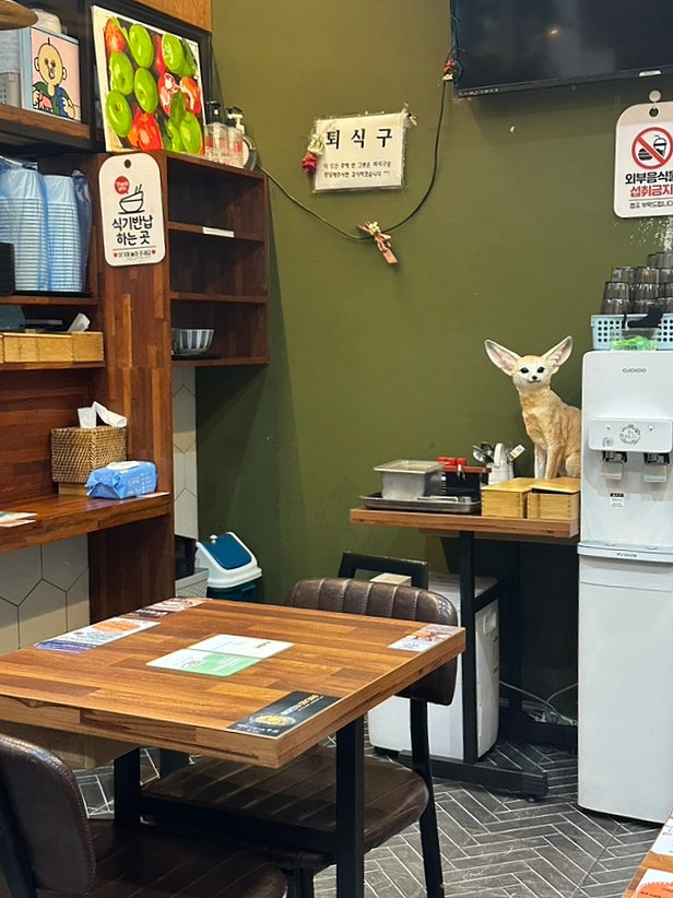 동경규동 광주용두점 사진 4