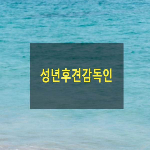  성년후견감독인(9)(성년후견인, 성년후견감독, 가정법원, 사임, 변경, 보수)
