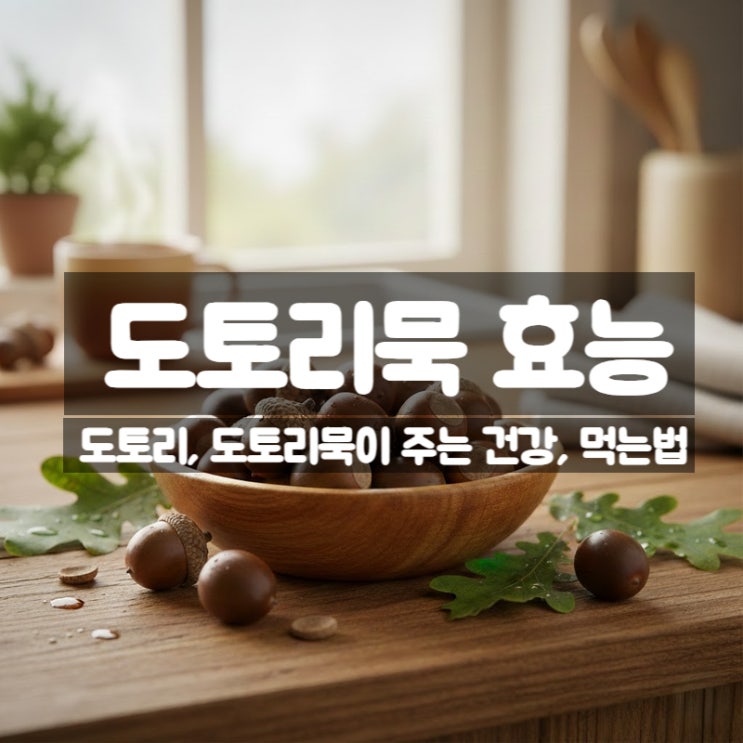  도토리 도토리묵 효능 부작용 먹는법 – 다이어트 혈당관리 건강식