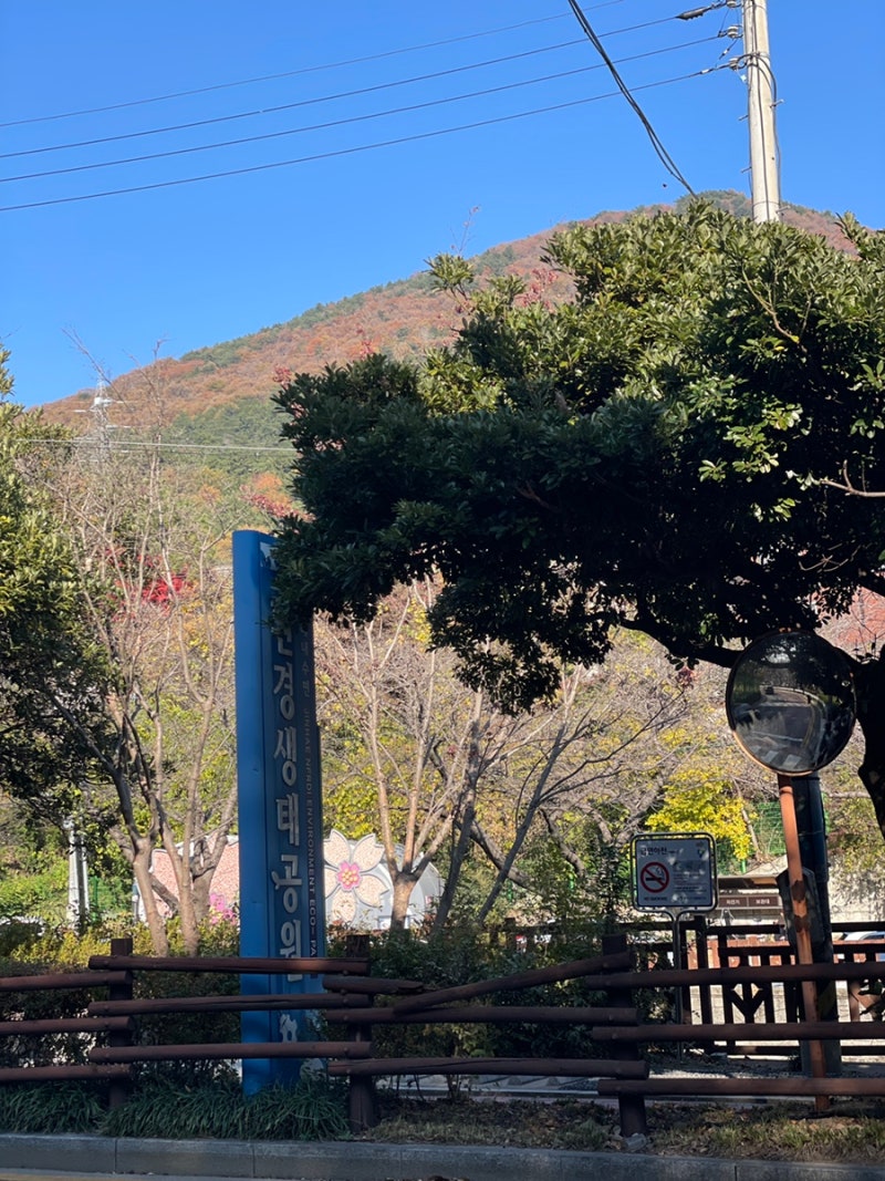 사진 2