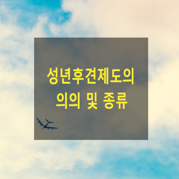  성년후견제도의 의의 및 종류(6)(성년후견, 임의후견, 특정후견)