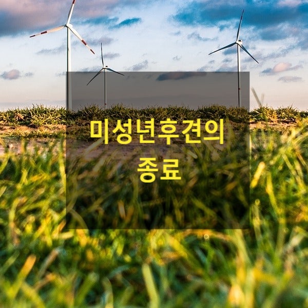  미성년후견의 종료(5)(미성년자, 후견인, 가정법원, 종료, 경질, 변경)