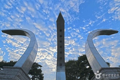 사진 8