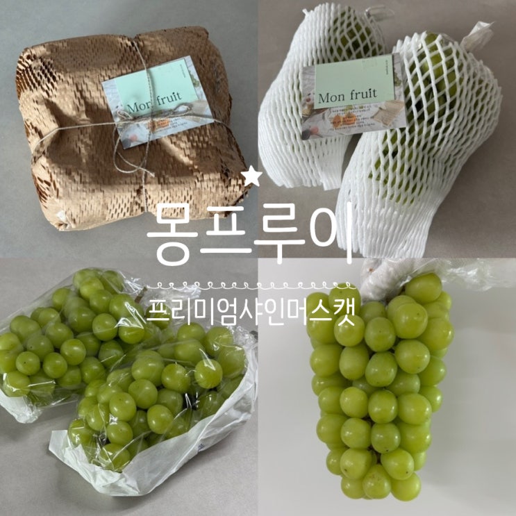  과일선물추천 Mon Fruit 몽프루이 프리미엄 고당도샤인머스켓 (17브릭스 이상) 맛후기/샤인머스캣세척법/보관법