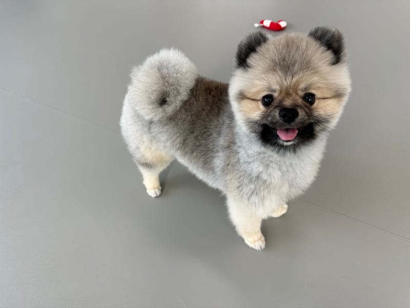 오늘독