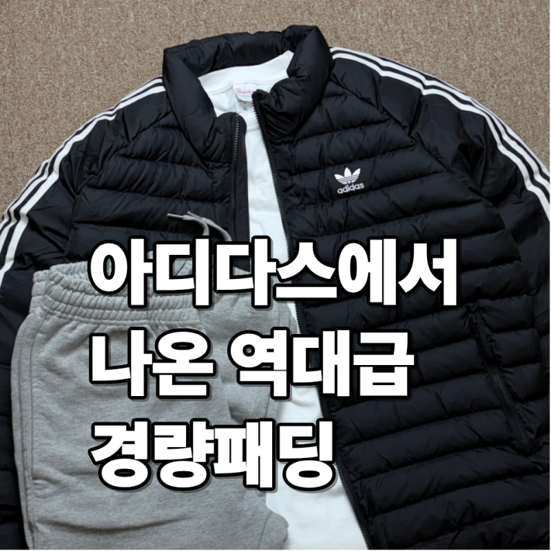 이 패딩 하나로 러닝 골까지? 아디다스 경량패딩, 데일리+운동용 완전 리얼 후기