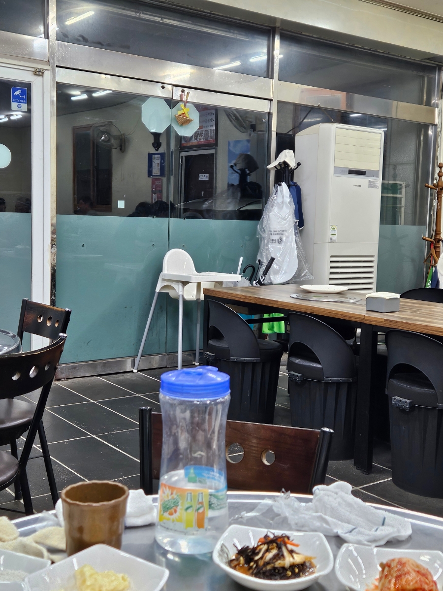 참돼지 사진 3