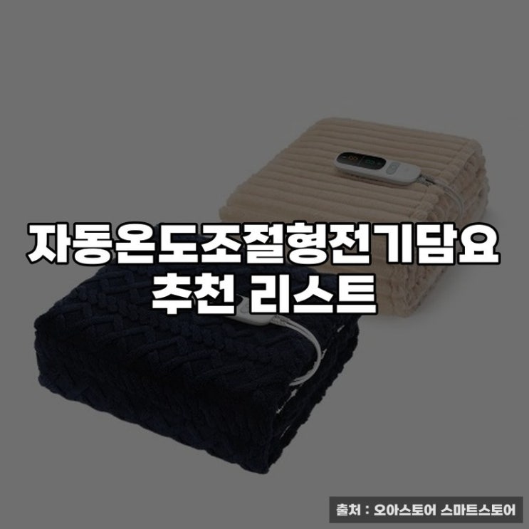  자동온도조절형전기담요 추천 리스트