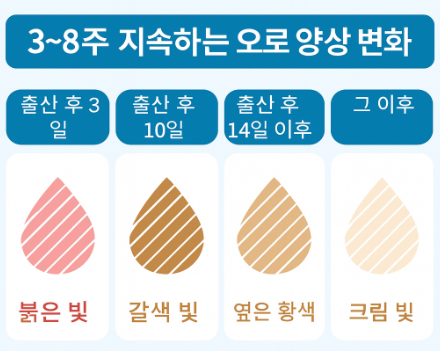 출산후 오로 양, 양상, 제왕절개 자연분만 오로 차이