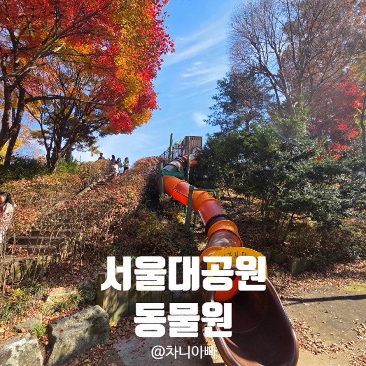  가을과 겨울 사이 과천 서울대공원 동물원 아이와 방문 후기