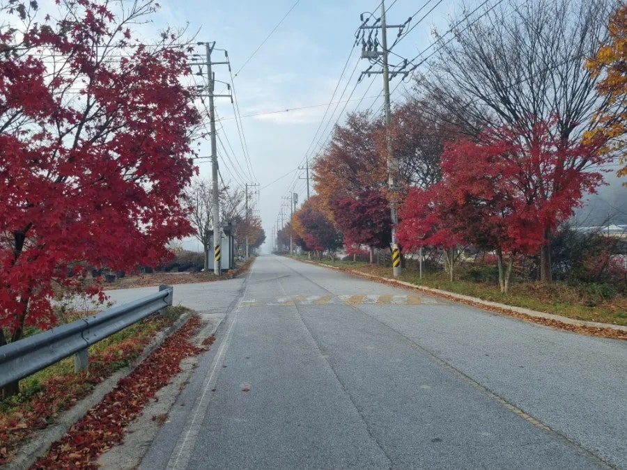 북당골 사진 6