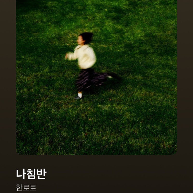 [노래 추천] 한로로 - 나침반 / 가사 해석