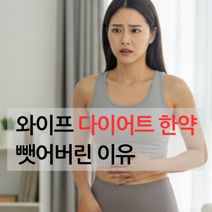  와이프를 위해 마운자로 유튜브 후기 20개 시청 후 핵심 요약