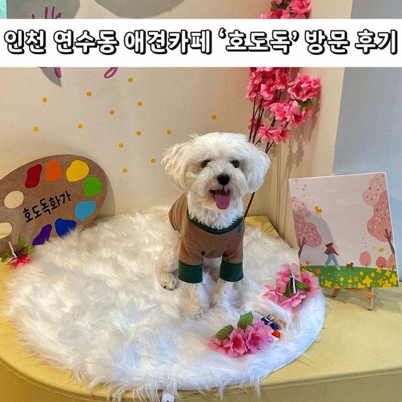 사진 5