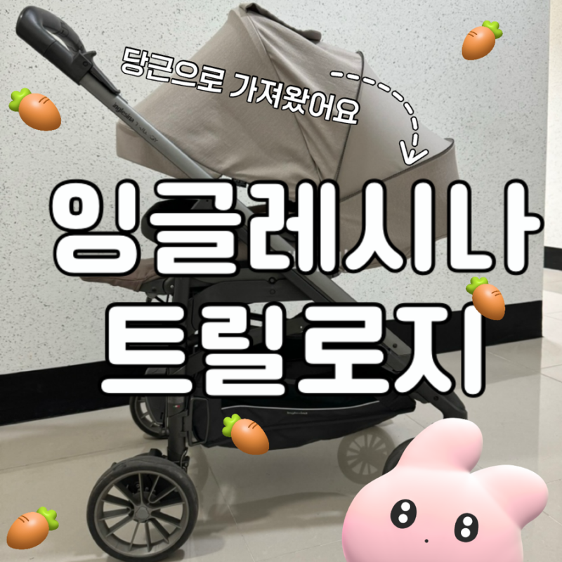 [육아템] 당근으로 써본 작게 폴딩되는 절충형 유모차 잉글레시나 트릴로지 솔직 후기