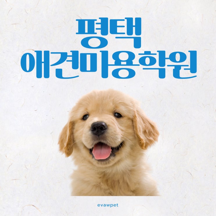  평택애견미용학원 실제 수강 후기