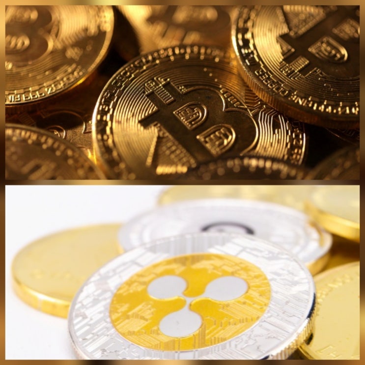IMF 국경 간 결제 비트코인과 XRP 언급 보고서 전망 분석