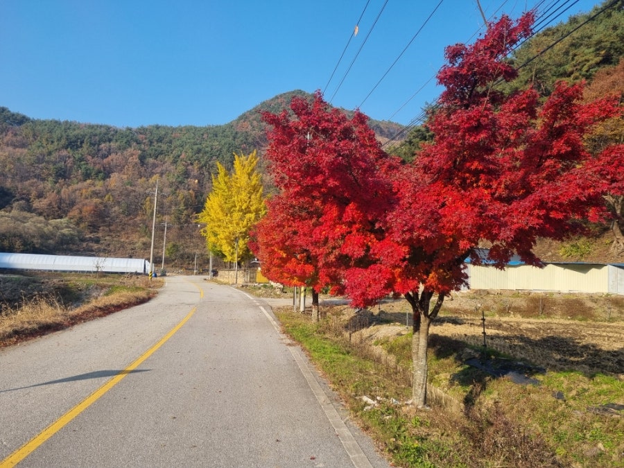 북당골 사진 4