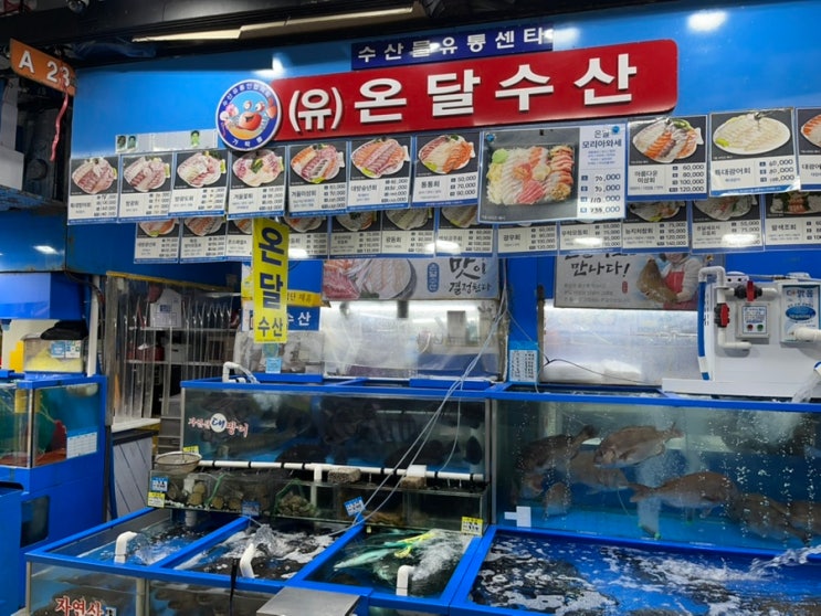  가락시장 수산시장 주차하고 온누리 상품권 쓰러 방어, 광어, 돔 회 포장한 후기ㅣ온달수산