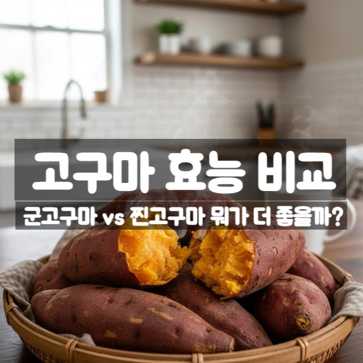  겨울철 군고구마 vs 찐고구마 효능 칼로리 부작용 비교분석