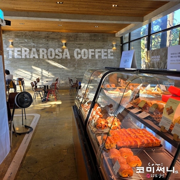  [강릉 카페 추천] 테라로사 사천해변점 커피 맛이 일품