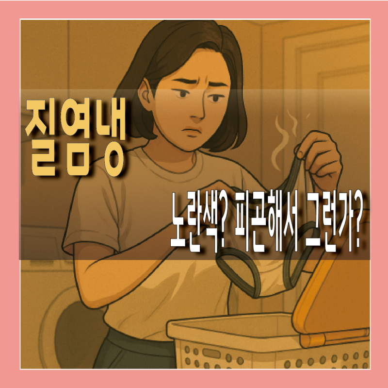 질염냉 증상, 냄새와 노란색 구분법 A to Z