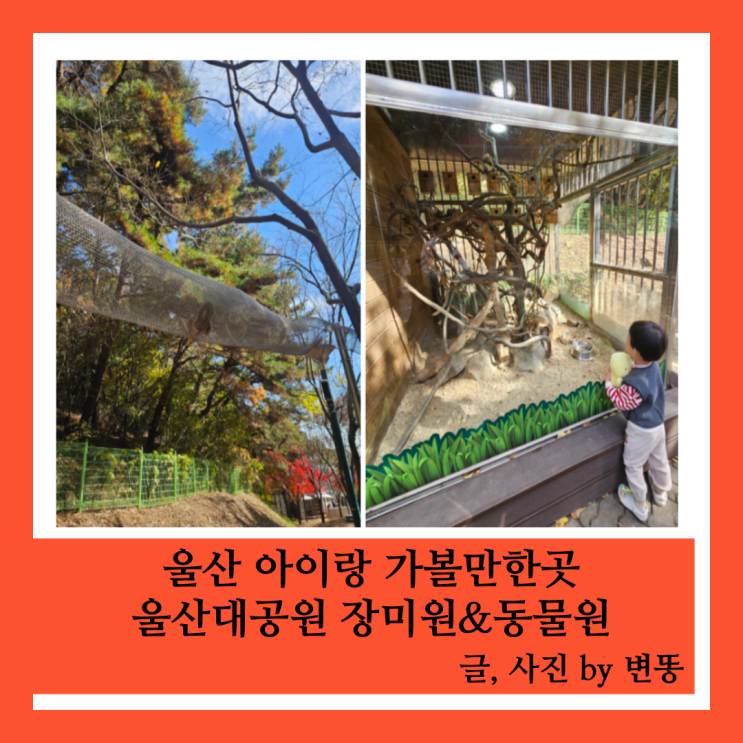  울산 아이랑 가볼만하곳: 울산대공원 장미원&동물원(가격 저렴하고 동물원 아이랑 깨끗해서 가보기 좋아요!)