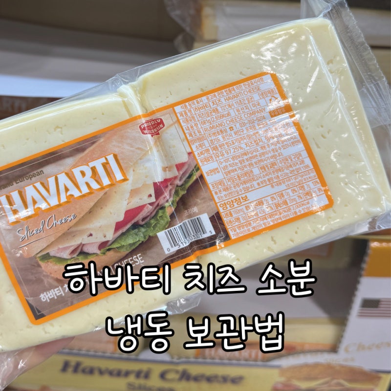 트레이더스 하바티 치즈 소분 냉동 보관법, “2달 동안 그대로” 신선하게 유지해 보세요