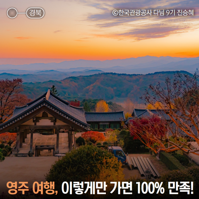 경북 영주 가볼만한곳 부석사 일몰 사과따기 체험 국립산림치유원 숙소 맛집 카페