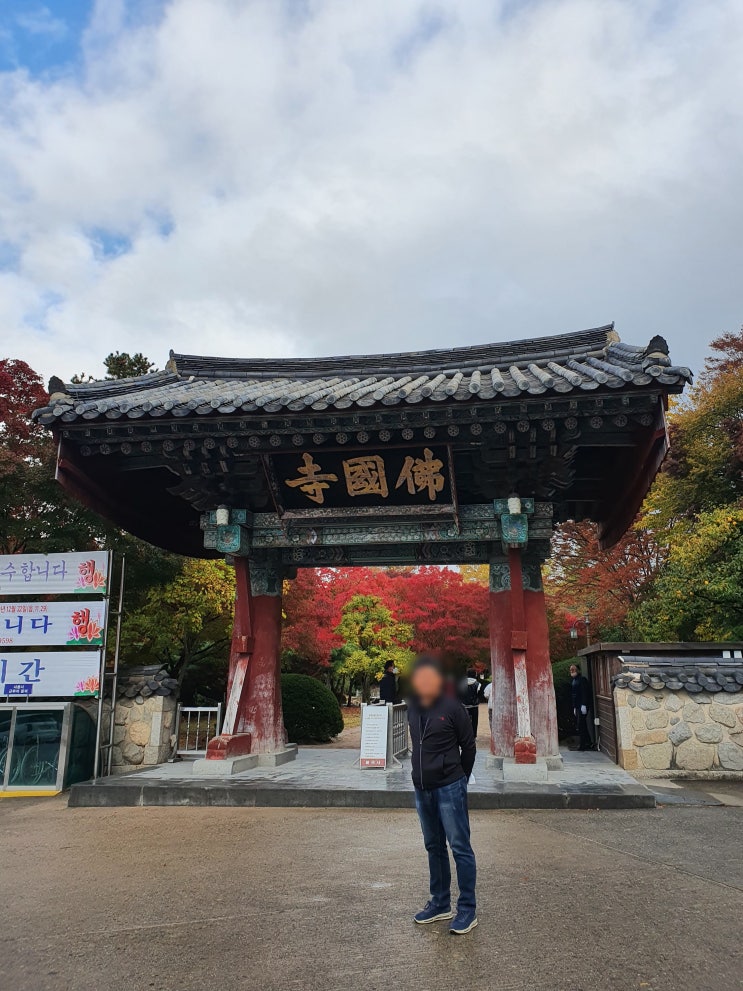  경주 빼놓을 수 없는 명소 불국사 단풍 구경, 아침 주차자리