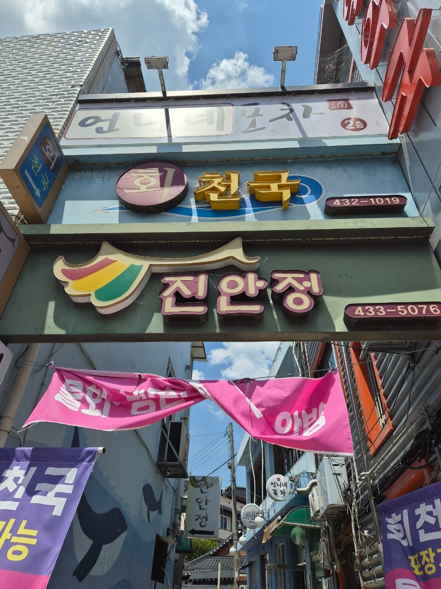 회천국 사진 1
