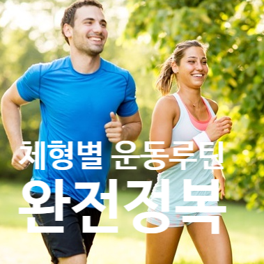  탄현역 헬스 체형별 맞춤 운동 루틴 완전 정복!