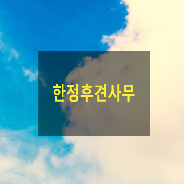  한정후견사무(12)(피한정후견인, 한정후견인, 동의권, 대리권, 가정법원)